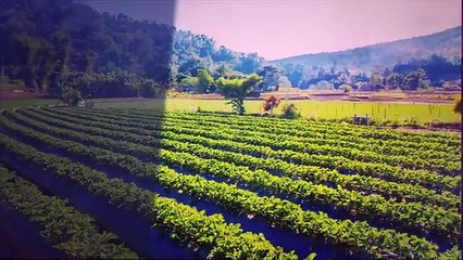 Solucan Gübresinin Faydaları Nedir? #Rivasol