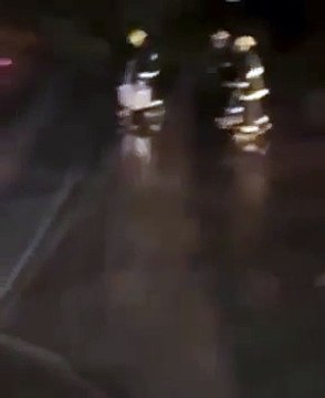 Avião interrompe decolagem após cobra atravessar pista em aeroporto