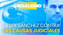 Así es la ley de Sánchez para enterrar las causas judiciales contra su entono