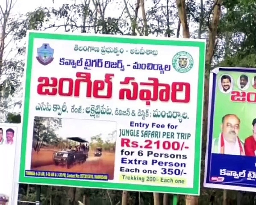 జంగల్ సఫారిని ప్రారంభించిన ఎమ్మెల్యే,