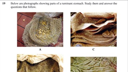 Agriculture questions and answers #KCSE 2013 paper 2 revision #gardening #agritec