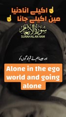 Alone in the ego world and going Alone