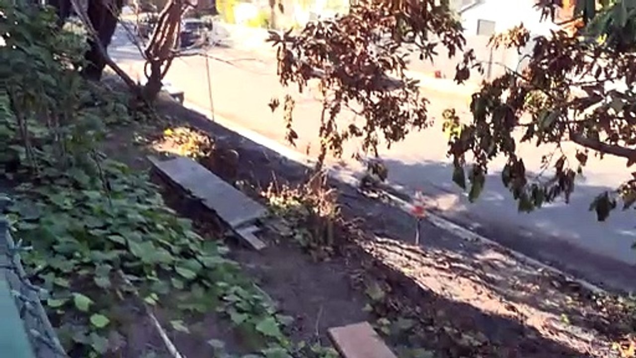 Sturer Hausmeister rettet Haus vor Flammen in Pacific Palisades