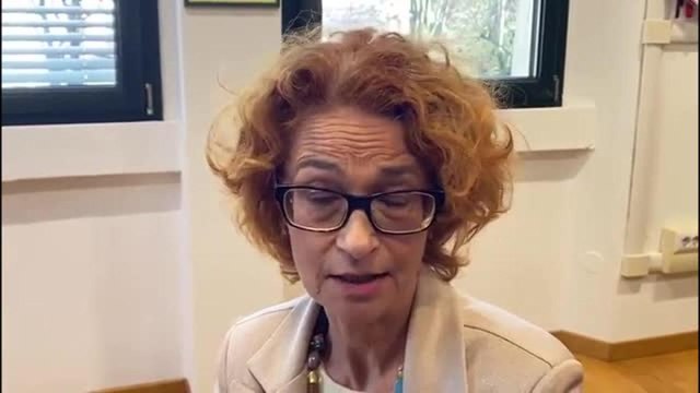 Spray urticante in classe a Treviso, la preside: «I ragazzi stavano per fare una verifica»