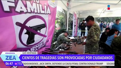 Las armas de fuego no dan tranquilidad ni paz: Luis Wertman