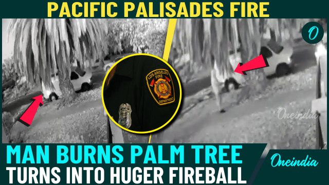 New CCTV Footage Reveals Palisades Fire Starter | Palm Tree Turns Into Fireball In Shocking Video