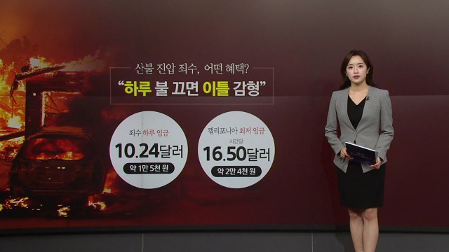 LA 산불 진압에 죄수 9백여 명 투입... 하루 불 끄면 이틀 감형 [앵커리포트] / YTN