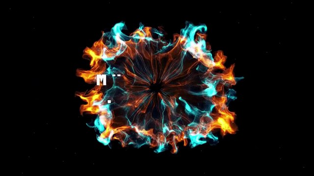 10 fun and interesting cat facts that we bet you didn’t know! l Mind Blown Facts