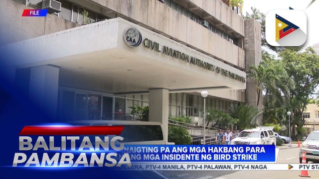 CAAP, mas pinaigting pa ang mga hakbang para maiwasan ang mga insidente ng bird strike