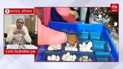 हरियाणा में नेचुरल फर्मिंग का बढ़ रहा क्रेज़, किचन गार्डनिंग से महिलाएं हो रही मालामाल