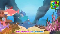 Baby Shark - Kids Songs and Nursery Rhymes - Animal Songs from - kids Rhymes -
