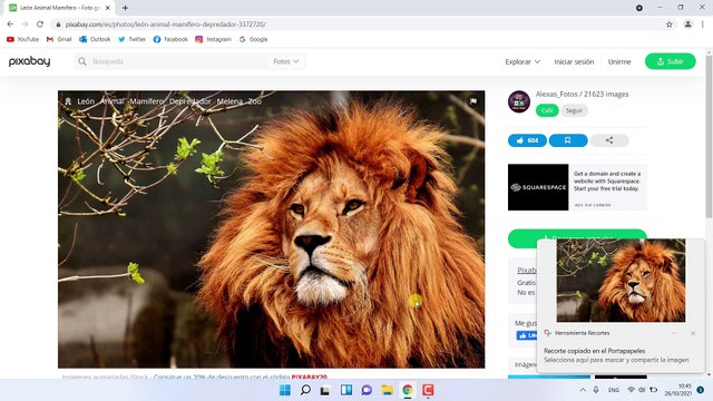 Como hacer una Captura de Pantalla en pc o laptop Windows 11 2024 | tomar capturas de pantalla