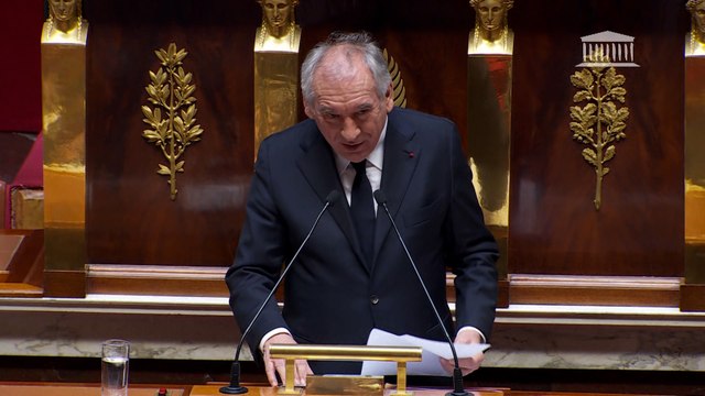 Bayrou veut « rouvrir les cahiers de doléances » des gilets jaunes