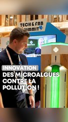 Deux nordistes ont créé un purificateur d’air à base de microalgues !