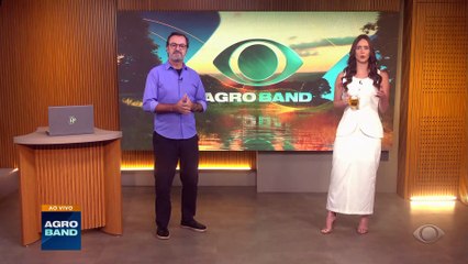 IA em monitoramento da soja evita prejuízos com pragas