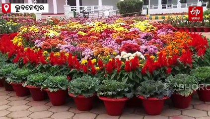 ସର୍ବସାଧାରଣଙ୍କ ପାଇଁ ଖୋଲିଛି ରାଜଭବନ ଉଦ୍ୟାନ, ନିଶୁଳ୍କରେ ବୁଲିବାର ମଜା