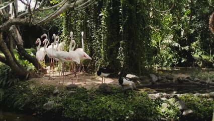 Perfect for viewers who adore heartwarming and cut