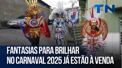 Fantasias para brilhar no Carnaval 2025 já estão à venda