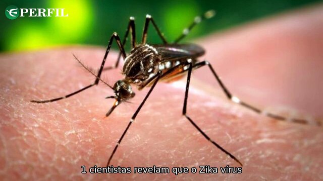 Descobertas científicas: Zika, luas com anéis e visita real ao hospital de câncer