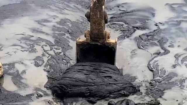 « Presque toute la Crimée est touchée » : un mois après, la Russie lutte pour endiguer sa marée noire