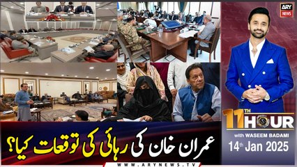11th Hour | Waseem Badami | ARY News | 14th January 2025