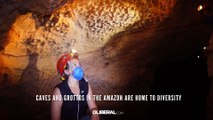 Caves and grottos in the Amazon are home to diversity