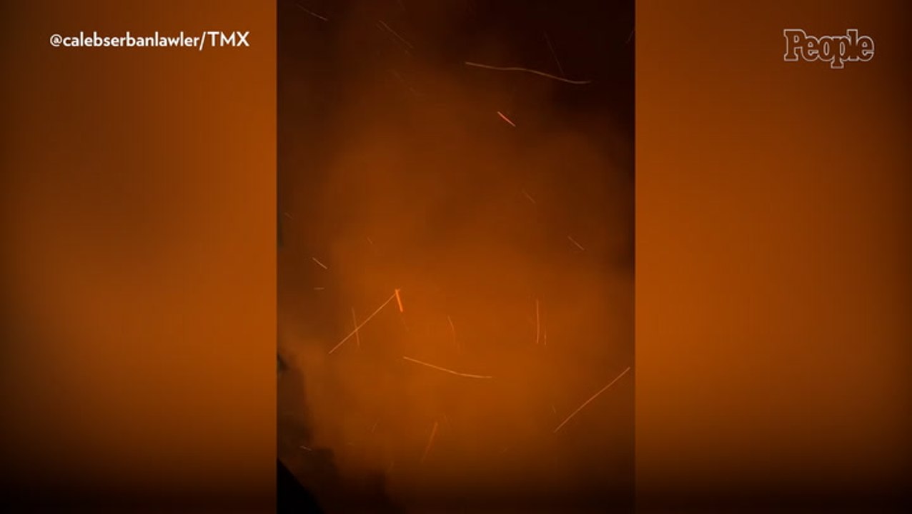 Man Drives Up Mountain to Rescue Stranded Woman and Her 4 Dogs from Palisades Fire: 'I Thought I Was Going to Die'