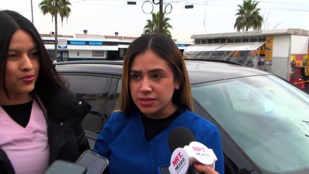 Arrancan campaña de casitas provisionales para perros y gatos callejeros