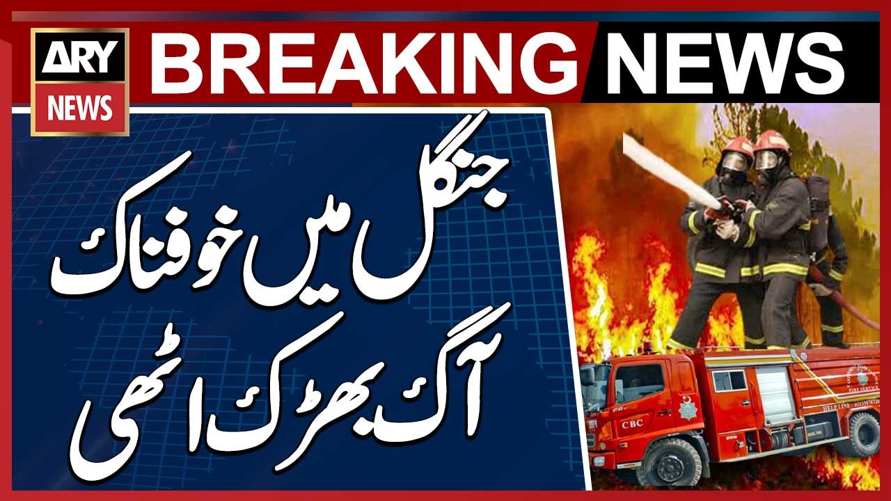 Murree: Terrifying Fire Erupts in the Forest of Ghora Gali