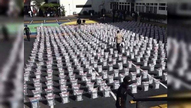 ¿A quiénes se señalan de ser los principales cabecillas de Panthera 7?