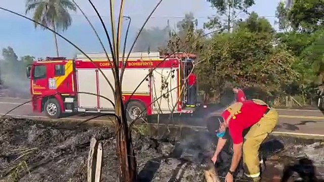 Pneu de carreta pega fogo e chamas se espalham pela vegetação na margem da rodovia PR-468