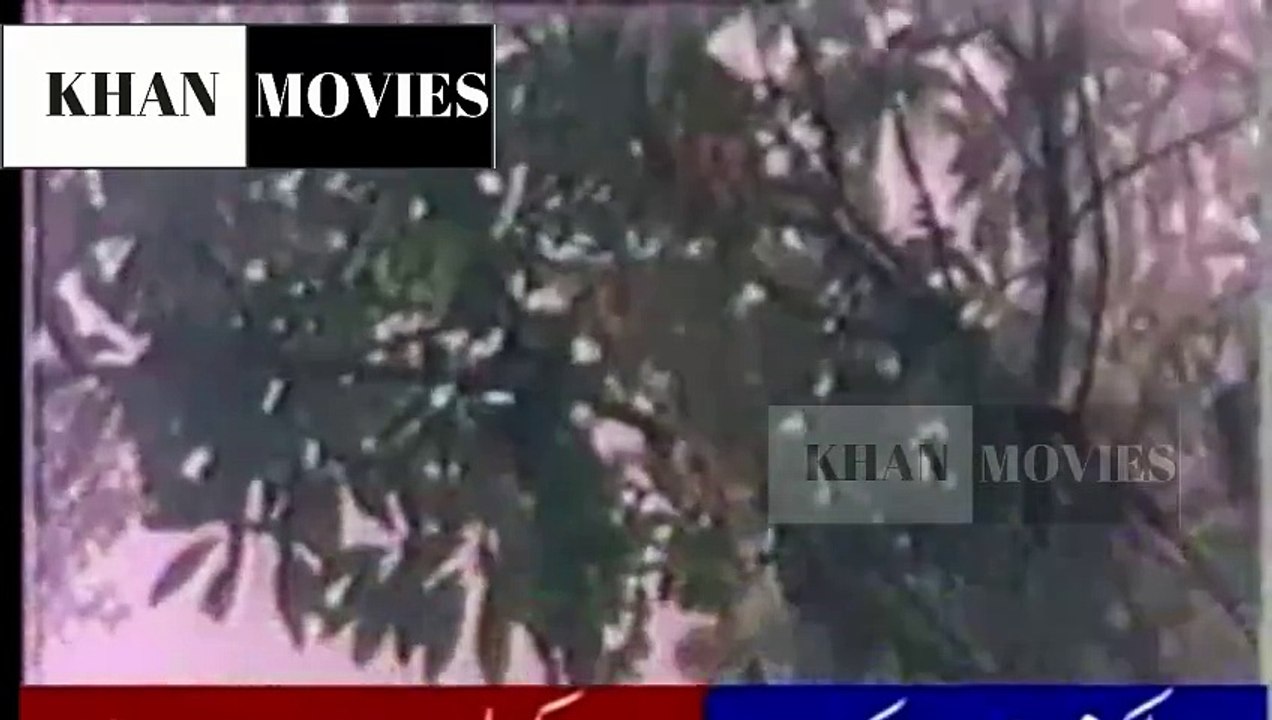 BARSAAT DA MAUSAM PAAVE JAPHIYAN MENU FULL SONG FILM-TOHFA PYAR DA