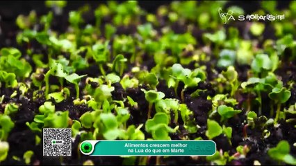 Alimentos crescem melhor na Lua do que em Marte