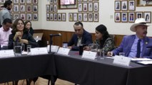 Por sufrir “violencia política”, la diputada Brenda Carrera interpuso queja ante el IEPC