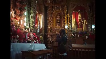 El ladrón de perros | movie | 2024 | Official Trailer