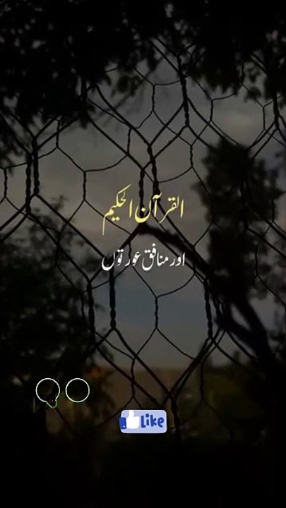 کافر سے بدتر منافق ہے۔ ہمیشہ مثبت سوچیں مثبت بولیں اور مثبت رہیں ۔ منافق کے بارے میں قران پاک میں اور حدیث شریف کی روشنی میں بڑی سخت وعید سنائی گئی ہے ۔۔ رشتہ داروں میں  دوستوں میں زندگی کے ہر معاملات میں منافق انسان سے دور رہیں۔ 🙏 جس کسی کے ساتھ بھی چاہ