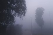 Rajasthan Weather :  गुलाबी नगर में आज सवेरे धूप ​खिलने से सर्दी के तेवर नरम