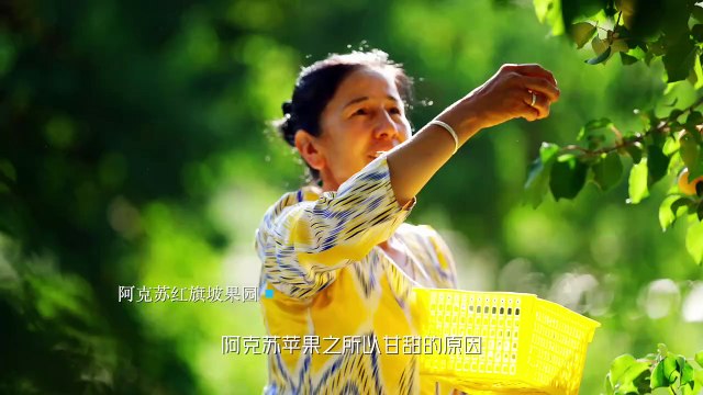 Exhibition of 2024 ISVC Outstanding Works《Meet Xinjiang-Aksu City》