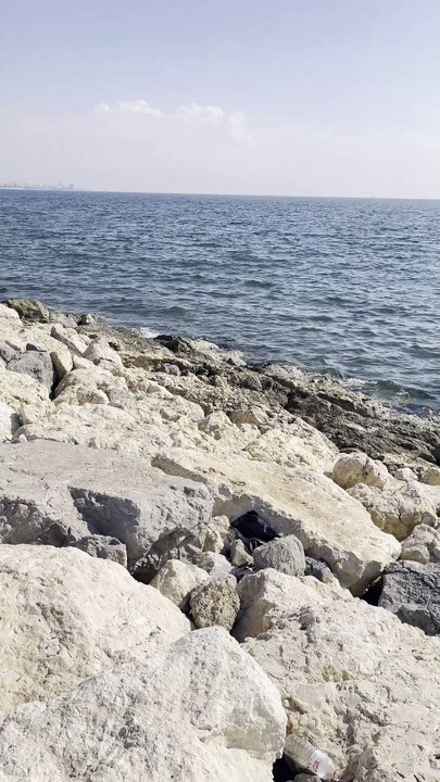 صباح الخير