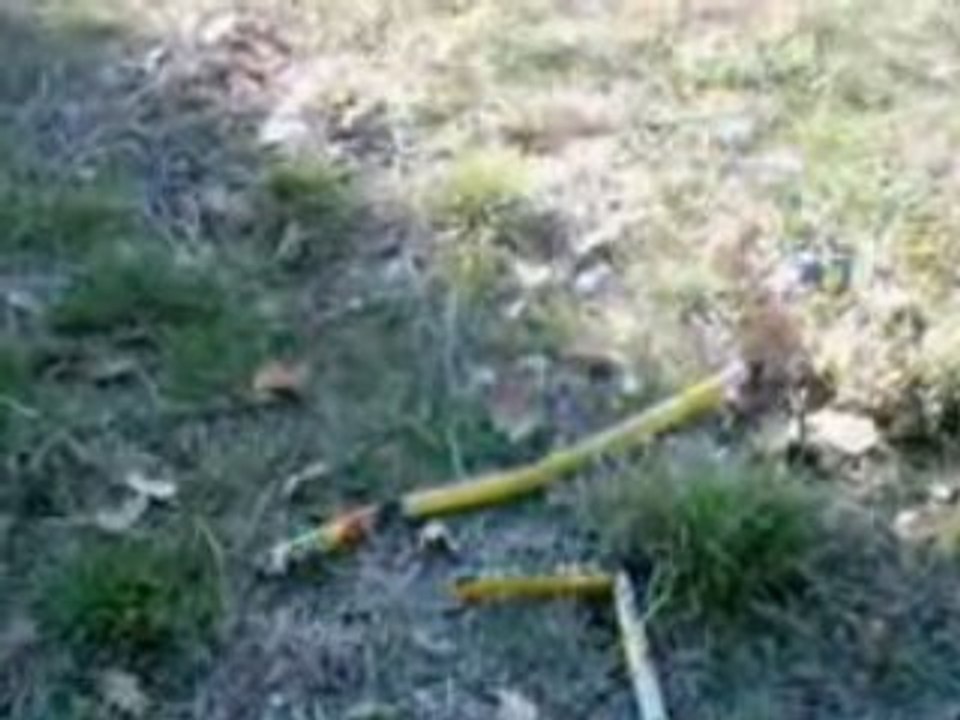 Marre des pauvres.0001