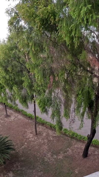 Pleasant Weather