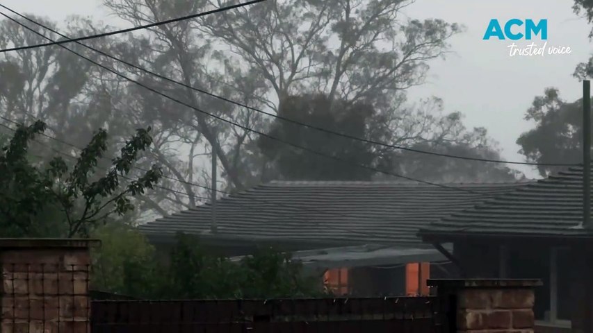 Storm hits Canberra on January 15, 2025. | The Canberra Times ...