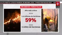 México rompe récord de incendios forestales registrados en 2024 | Milenio Hábitat