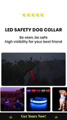 LED Safety Dog Collar