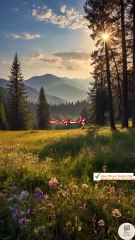 Haq tankeet hai tumhe urdu sad poetry shayari status