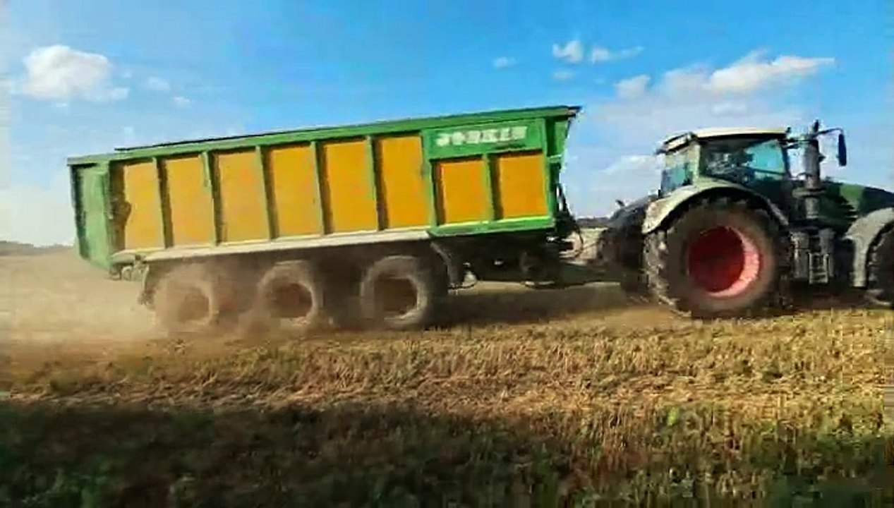 Erntezeit auf dem roggenfeld