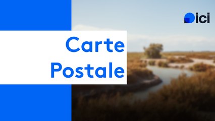 Bienvenue chez vous - 15 janvier 2025