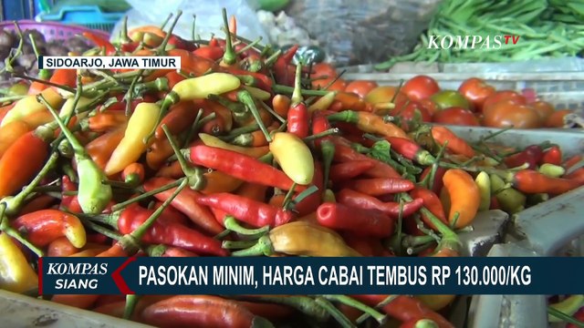 Makin Pedas! Harga Cabai Rawit di Sidoarjo Tembus Rp130 Ribu per Kilogram