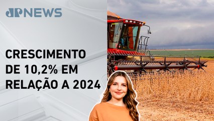 Clima adverso vai quebrar safra de soja 2025? Kellen Severo analisa