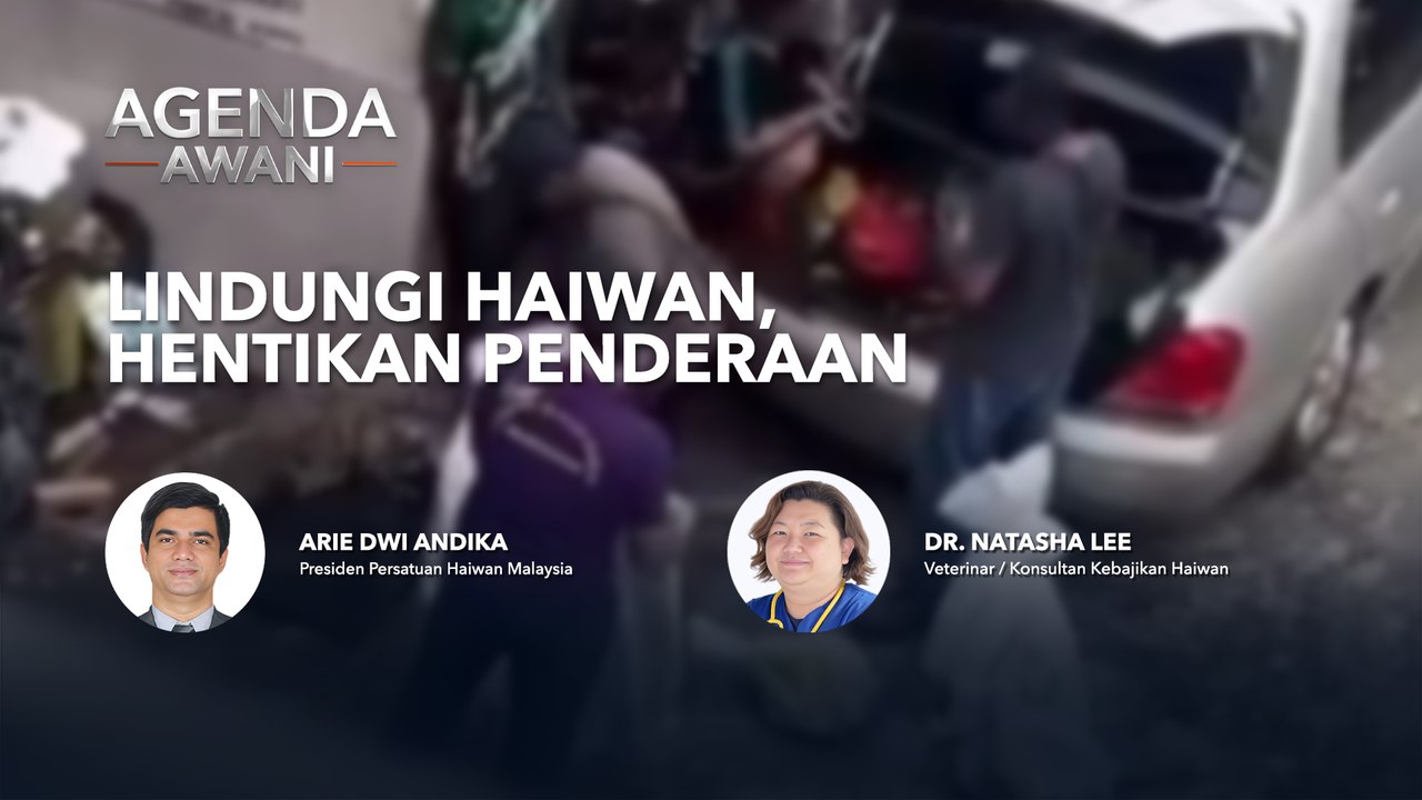 Agenda AWANI: Lindungi haiwan, hentikan penderaan
